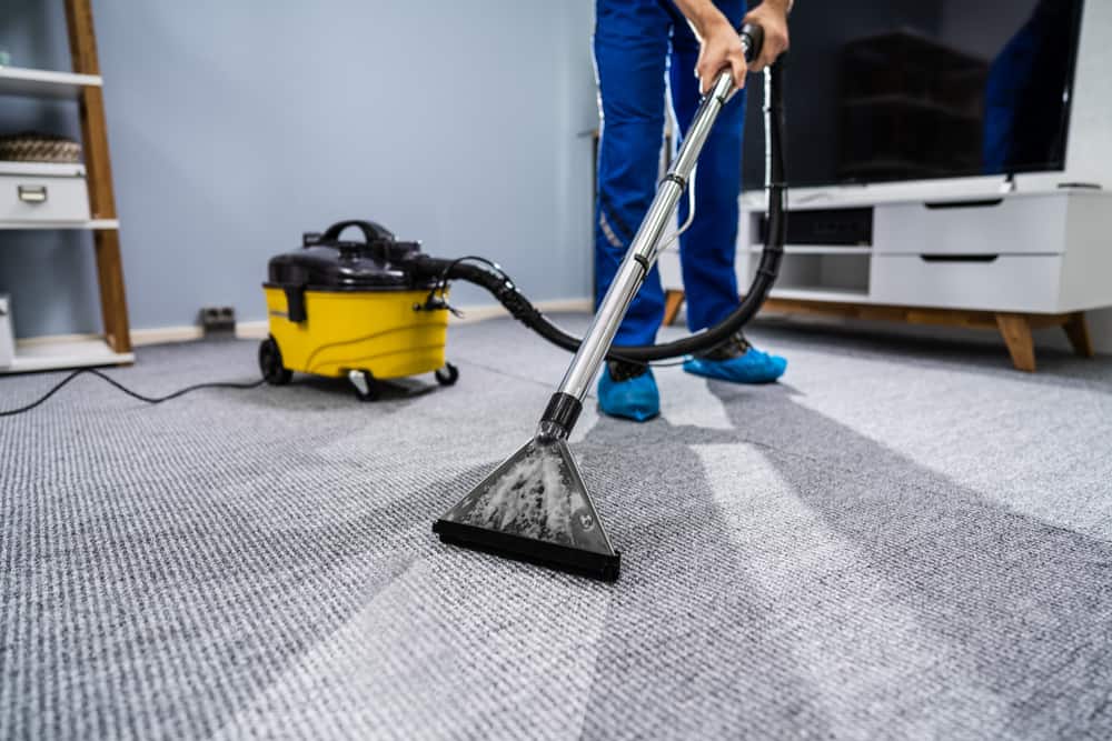 carpet cleaning Springfield