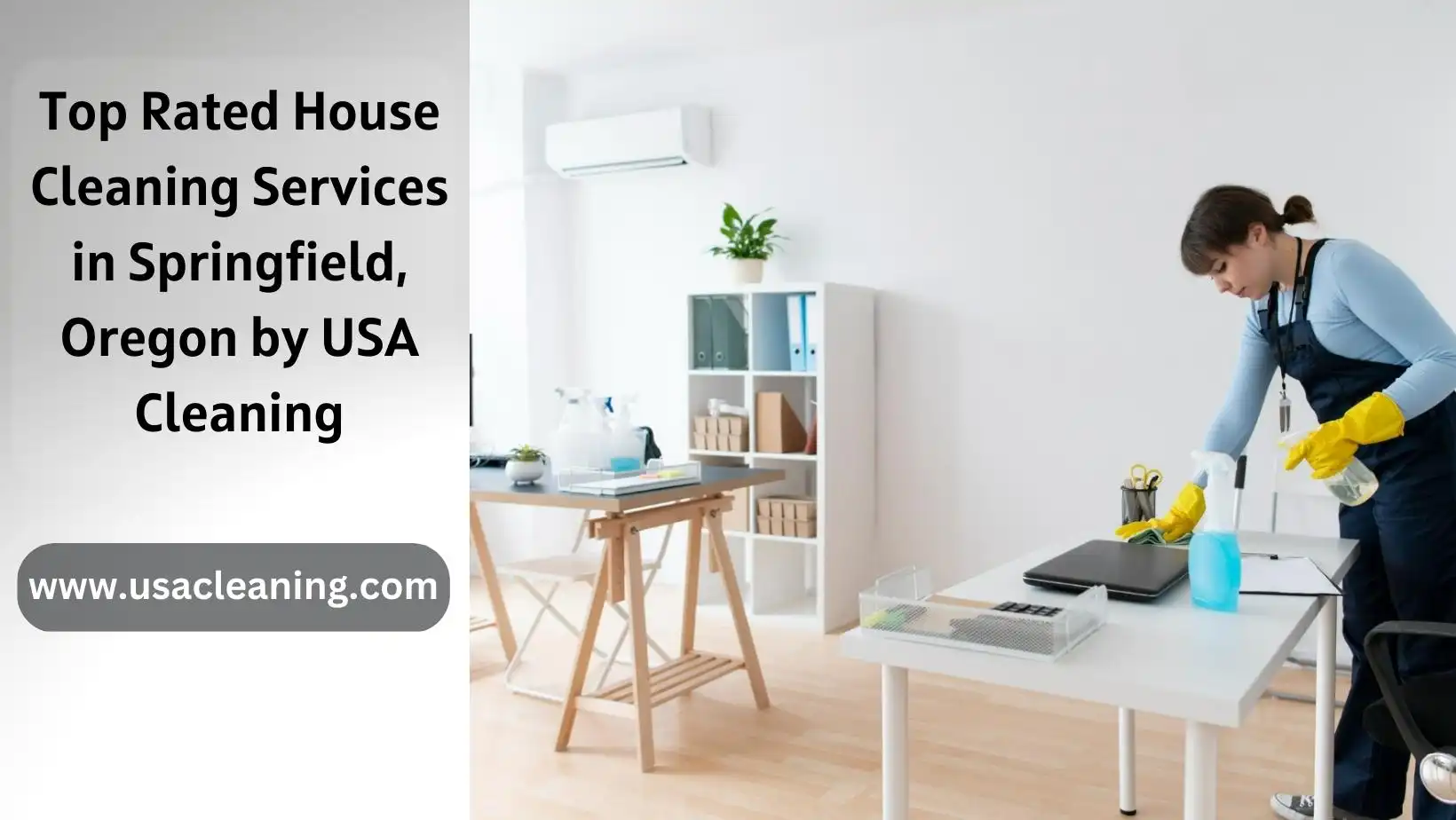 best house cleaning services in Springfield